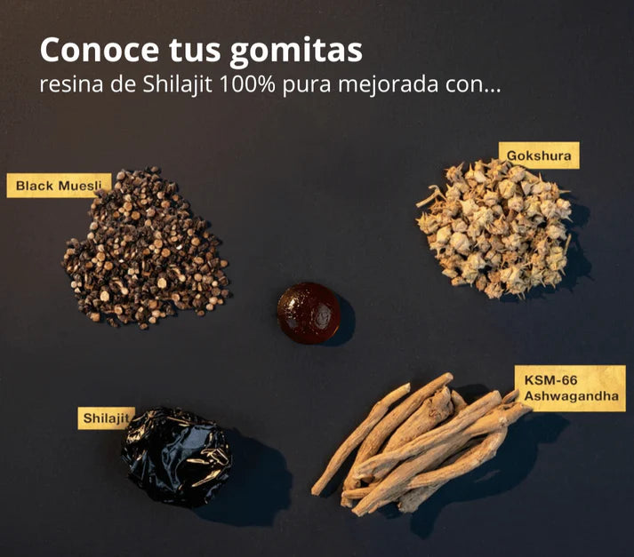 Eleveit Gold Gomitas de Shilajit Puro del Himalaya: Con Ashwagandha, Black Musli y Gokshura